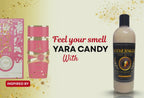 Touching the Top - Candy (Inspired by Yara Candy)